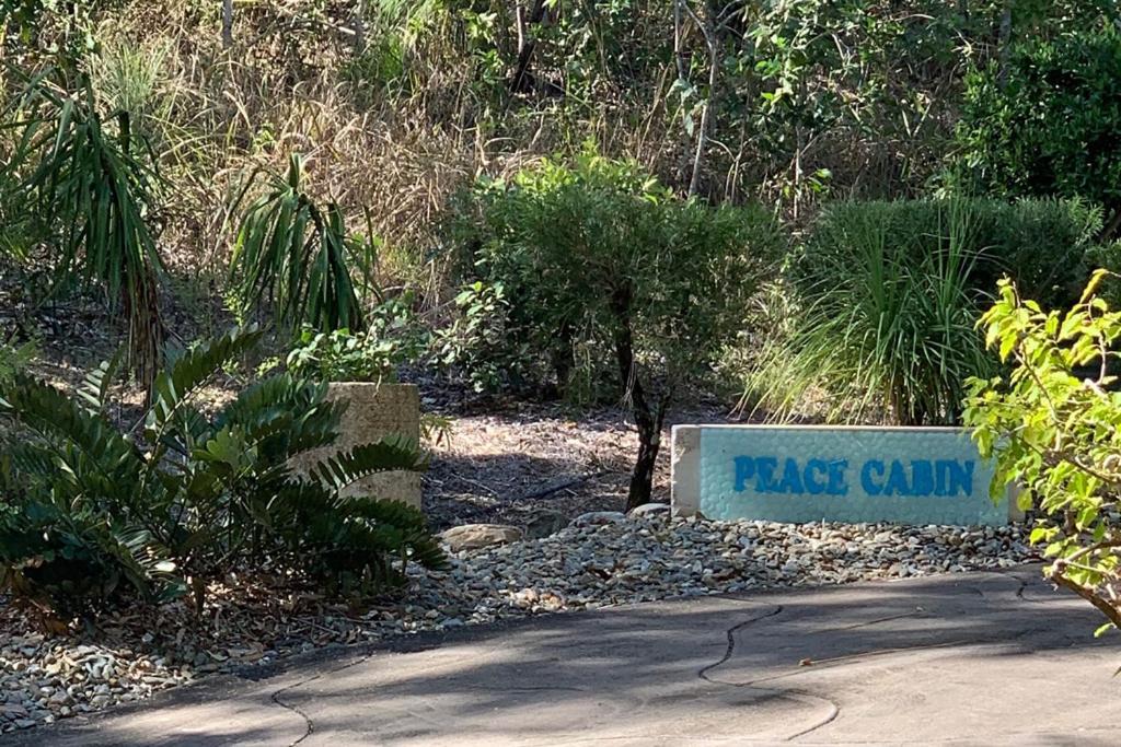 Beachfront Peace Cabin Oak Beach Экстерьер фото